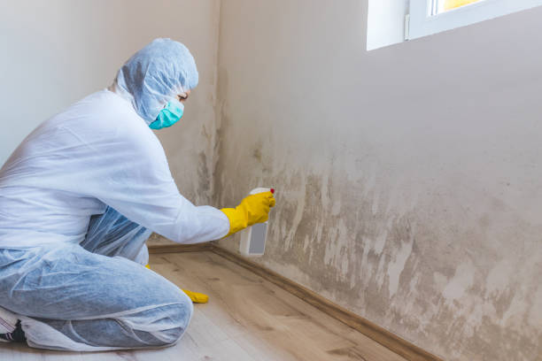 Mold inspector in Melrose performing thermal imaging
